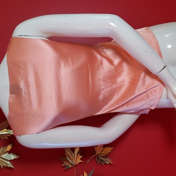 Size 0 - Eva Franco Silk Camisole Butterfly Peachy BNWT XS - Picture 5 of 9